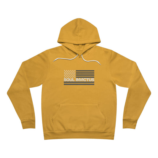 Flag Logo Pullover Hoodie