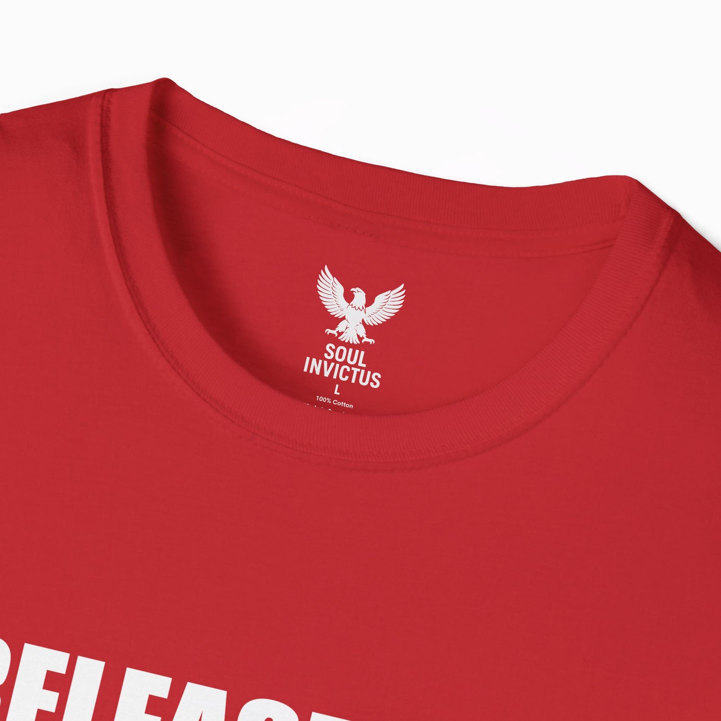 Release The Epstein Files T-shirt