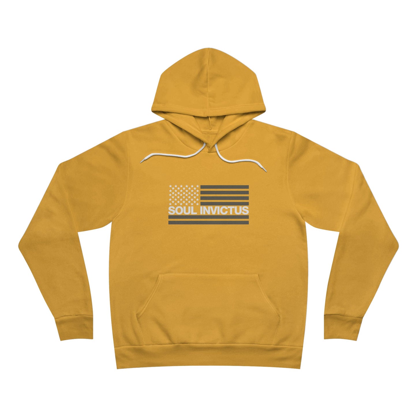 Flag Logo Pullover Hoodie