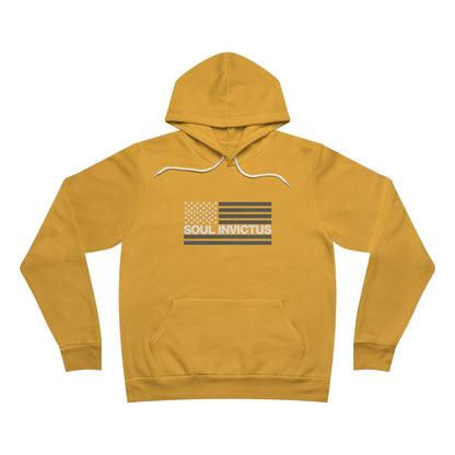 Flag Logo Pullover Hoodie